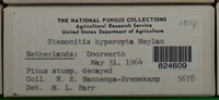 Image Associated With the Occurence